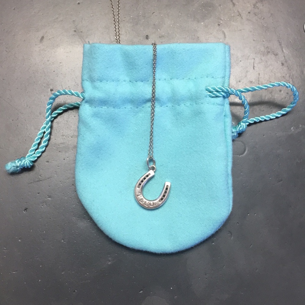 Tiffany & co. Horseshoe necklace